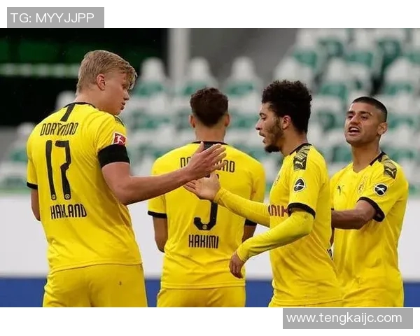 韩国新星效力的德甲球队资料介绍 韩国新星效力的德甲球队资料介绍