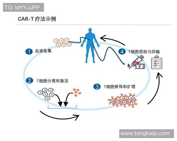 田径运动发展现状与未来趋势探讨：挑战、机遇与创新驱动分析