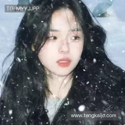 万桢翼